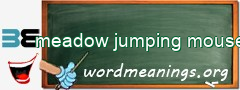 WordMeaning blackboard for meadow jumping mouse